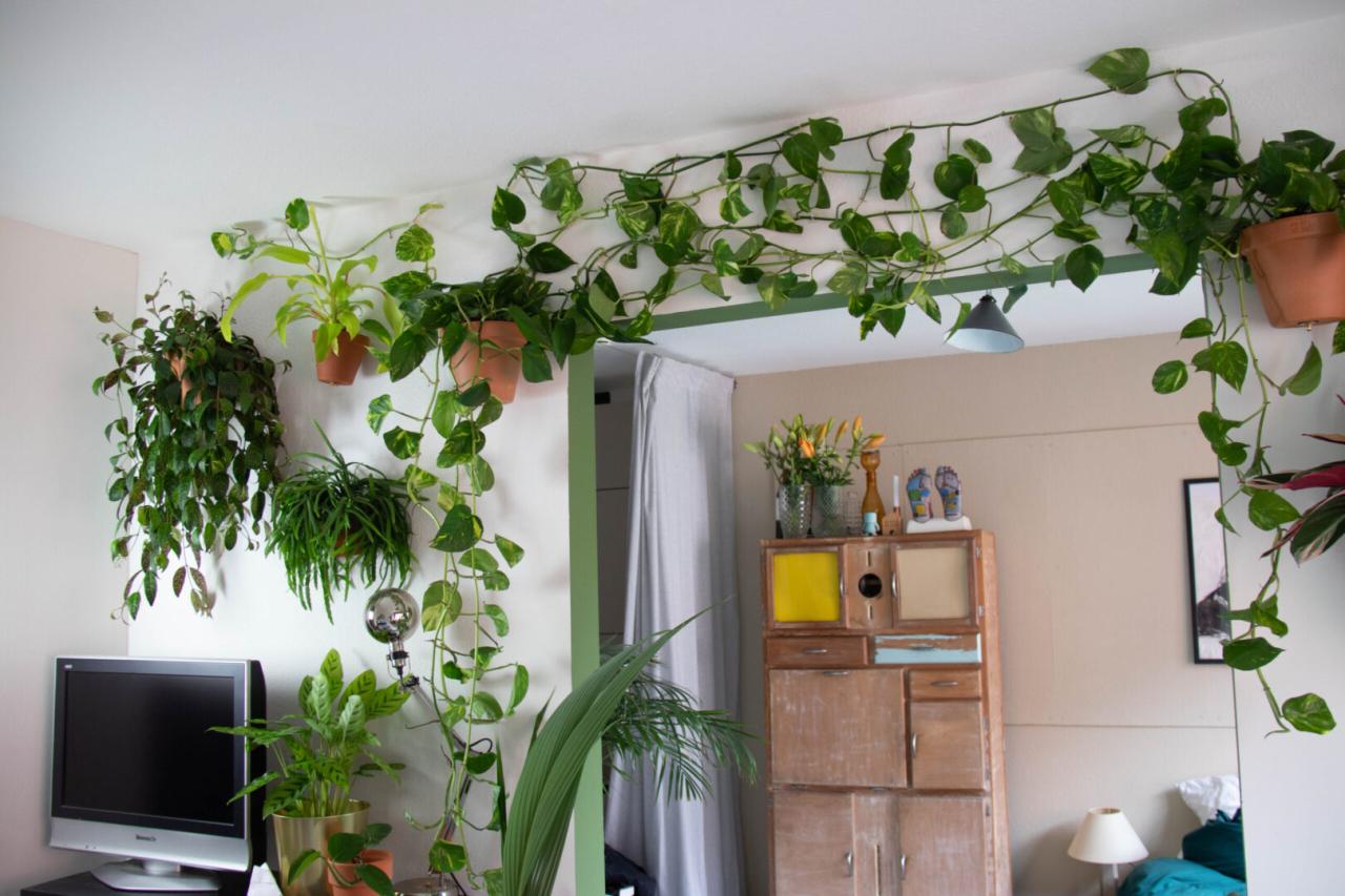 Easy Ways to Hang Plants in Your Bathroom